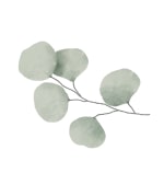 image-box-11 démaquillant