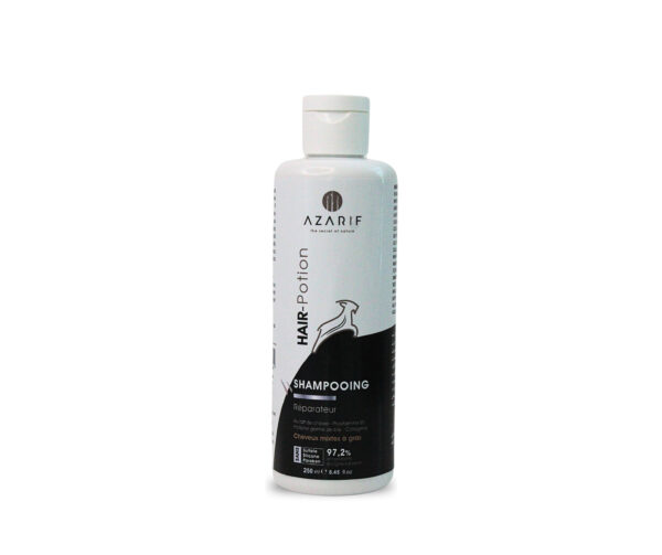 Shampooing Hair potion cheveux gras 250ml