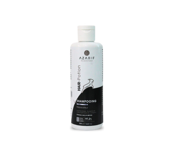 Shampooing Hair potion cheveux secs 250ml