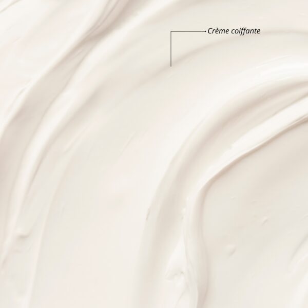 Gamme Hair potion cheveux gras 400ml - Image 5