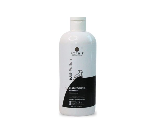 Shampooing Hair potion cheveux secs 400ml