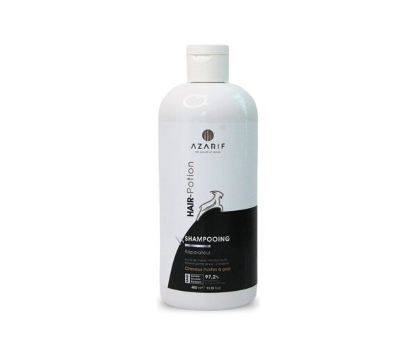 Shampooing Hair potion cheveux gras 400ml